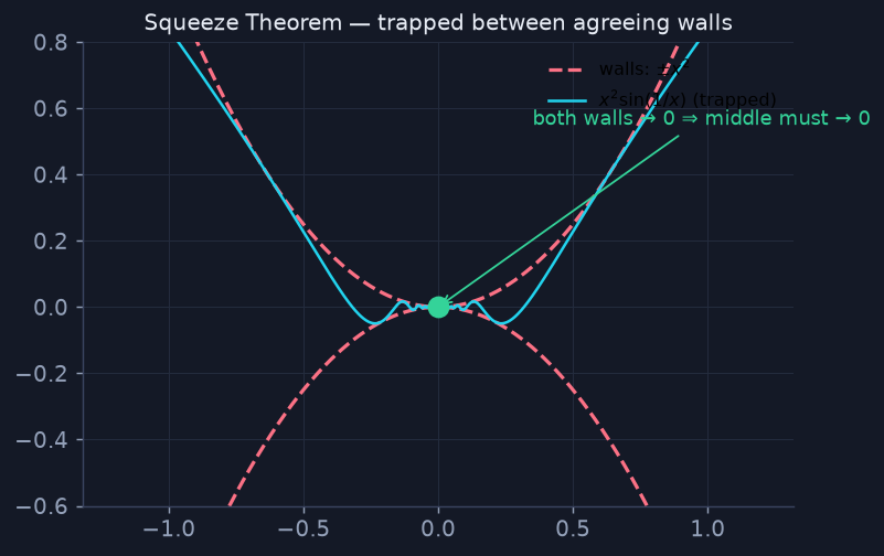 Squeeze Theorem: x²sin(1/x) trapped between ±x², both walls → 0.